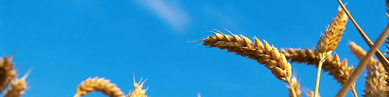 Sample post 1